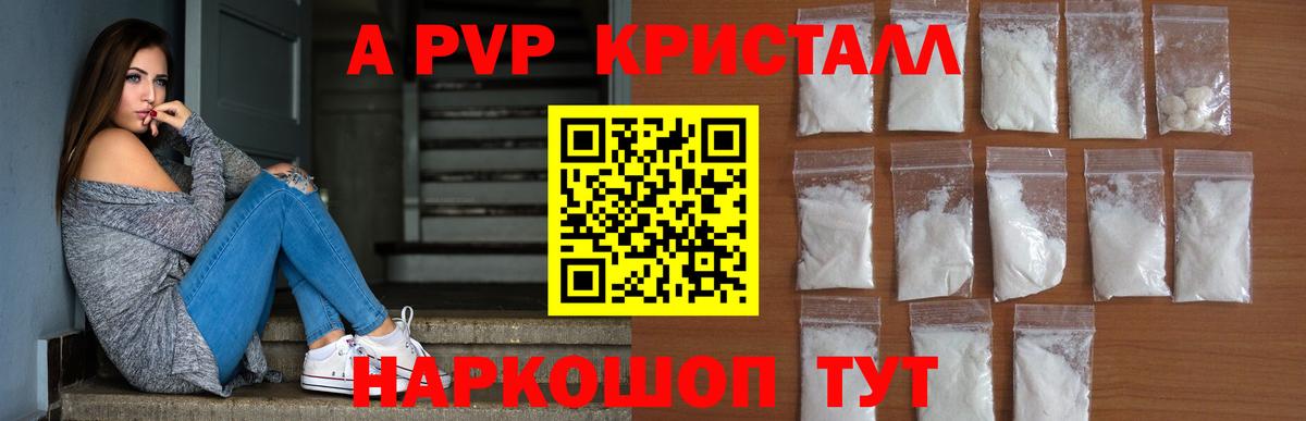 A PVP крисы CK Сокол