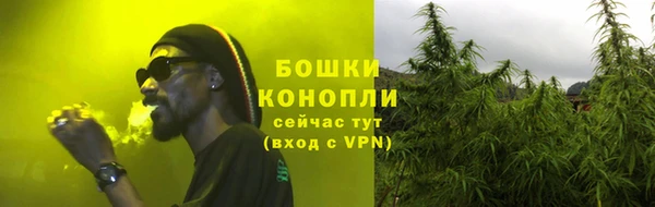 PSILOCYBIN Алзамай
