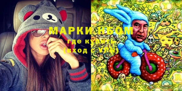PSILOCYBIN Алзамай