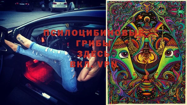 PSILOCYBIN Алзамай